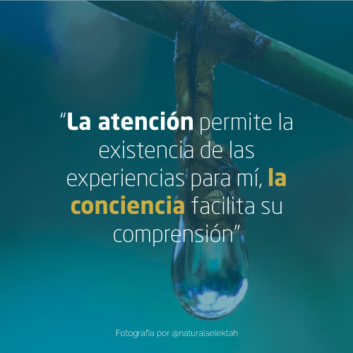 certificacion-mindful
